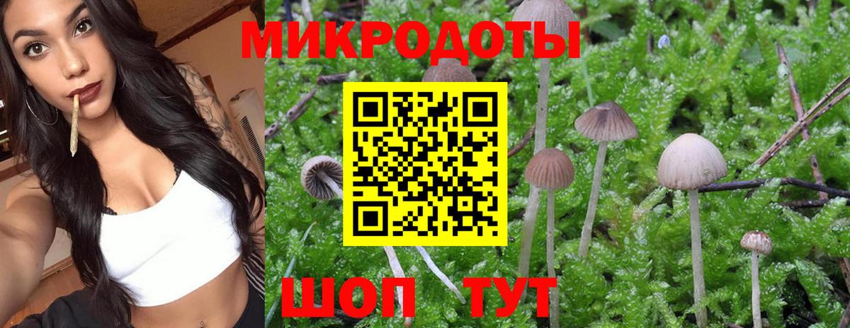 Лесосибирск  Галлюциногенные грибы ЛСД  Вход с VPN  как найти закладки  Псилоцибиновые грибы GOLDEN TEACHER 